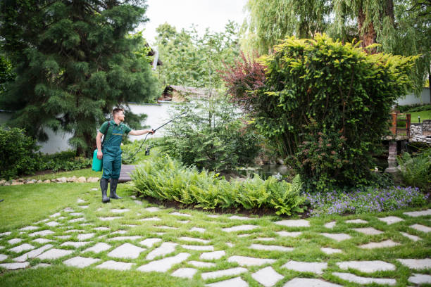Professional Pest Control in Franklin Park, IL